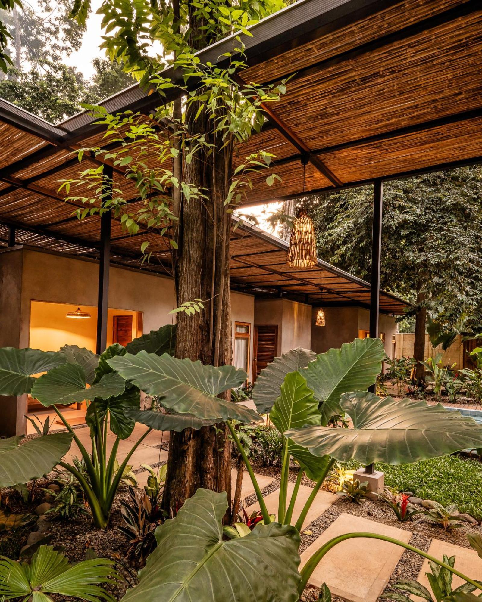 La Bonita Lodge Puerto Viejo de Talamanca Kültér fotó